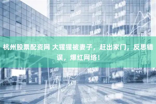 杭州股票配资网 大猩猩被妻子，赶出家门，反思错误，爆红网络！